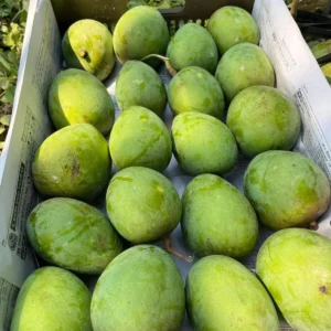 হিমসাগর (15 কেজি)
